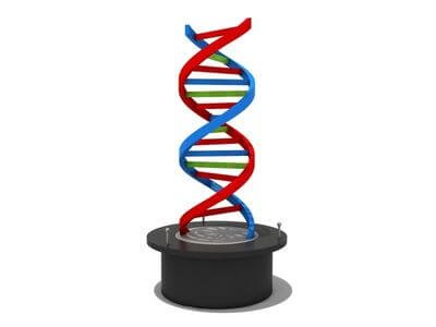 DNA Lighting by Rotation Generator